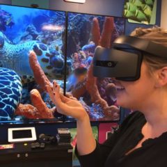 Reimagine Well VR Reduce Anxiety During EEG exams